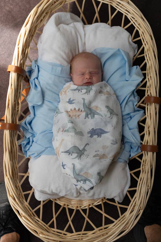 Dinosaurs Adventure Muslin Wrap Swaddle