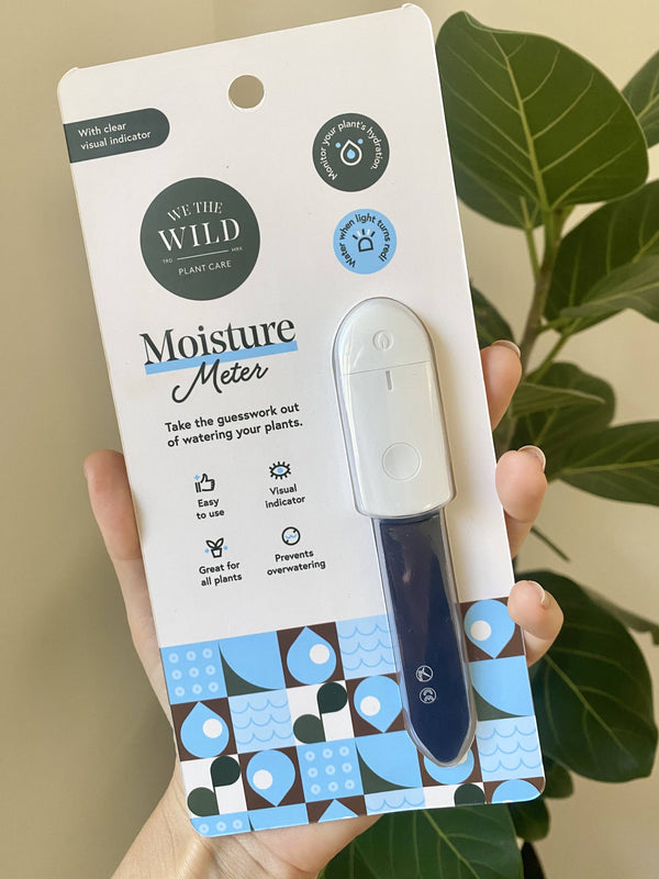 Moisture Meter - Case of 12