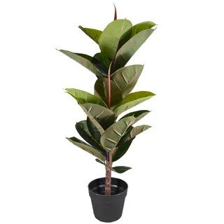 Rubber Tree Real Touch - Artificial