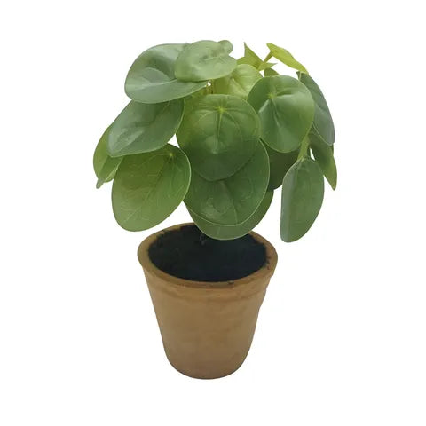 Money Plant Real Touch with terracotta pot