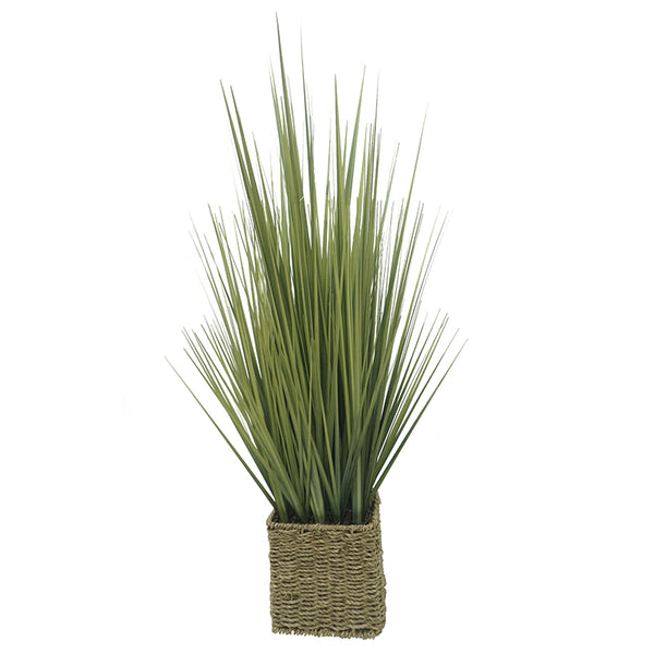 Onion Grass in Woven Basket