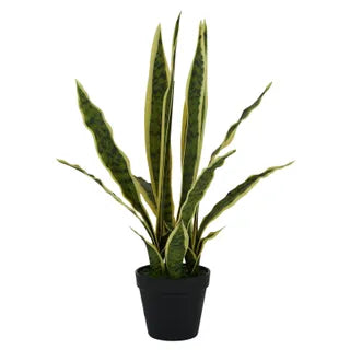 Snake Plant Real Touch