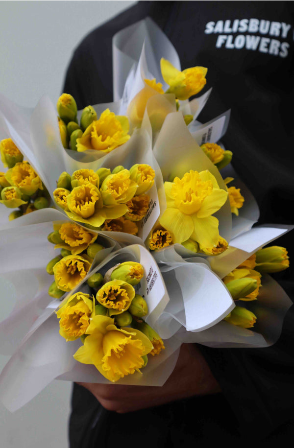 Daffodil Bunches - Daffodil Day
