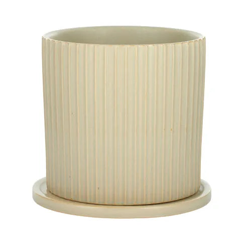 Jagged Ceramic Pot with Saucer