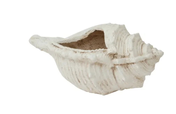 Conch Shell Composite Pot