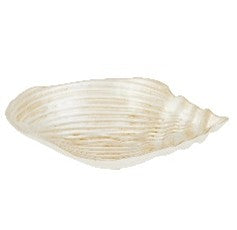 Inlet Glass Shell Ivory Bowl