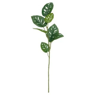 Monstera Ardanspnii Real Touch Stem - Artificial