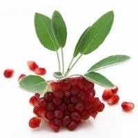 Pomegranate & Sage Soy Wax Melts & Tealight