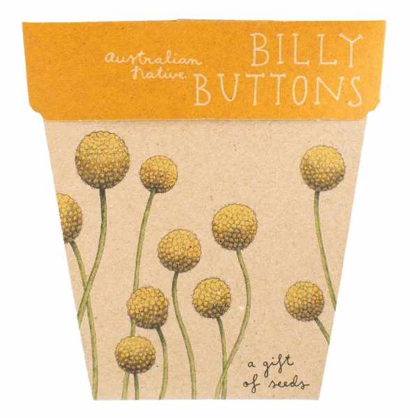 Billy Buttons - Gift Of Seeds Card