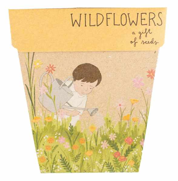 Wildflowers - Gift Of Seeds Card