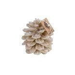 Aspen Pinecone Candle