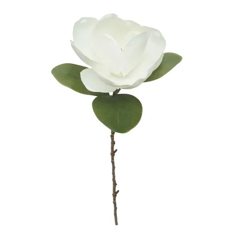 Magnolia Single Stem