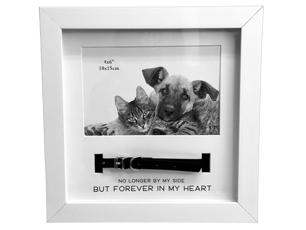 Pet Frame White - Collar