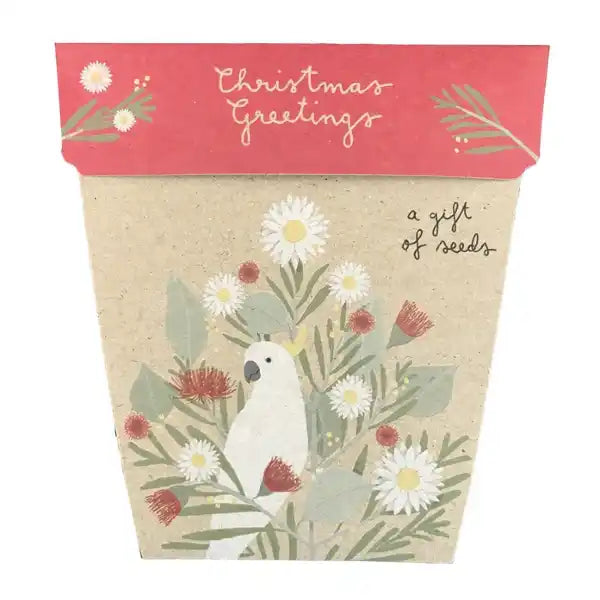 Christmas Greeting's Everlasting Daisies - Gift Of Seeds Card