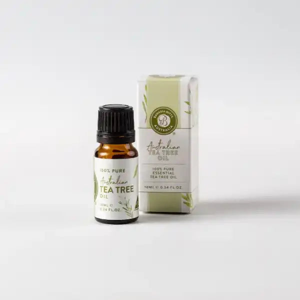 Banksia Australian Native Essential Oil - Tea Tree