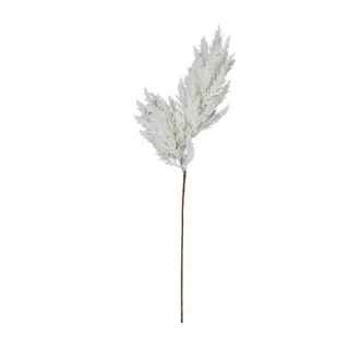 White Astilbe Stem