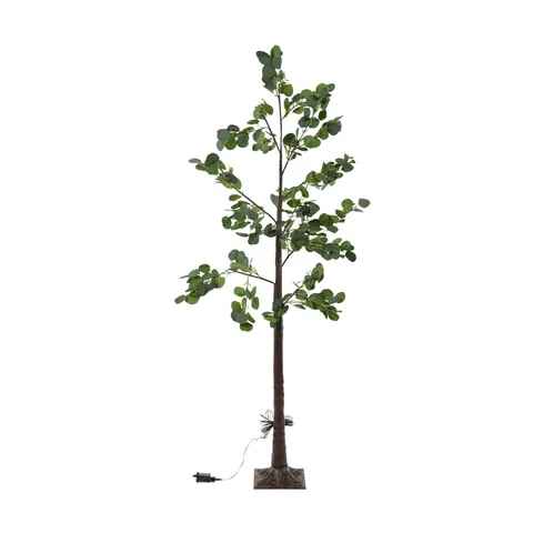 LED 180cm Eucalypt Tree