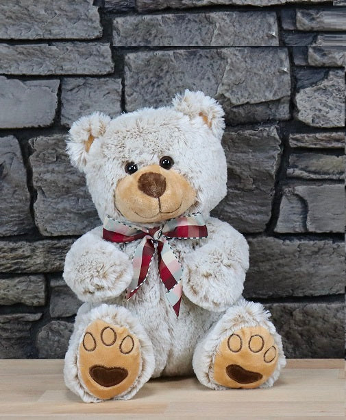 Teddy Bear with Ribbon