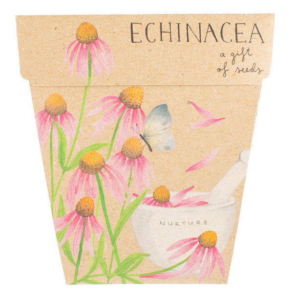 Echinacea Gift of Seed (Australia Only)