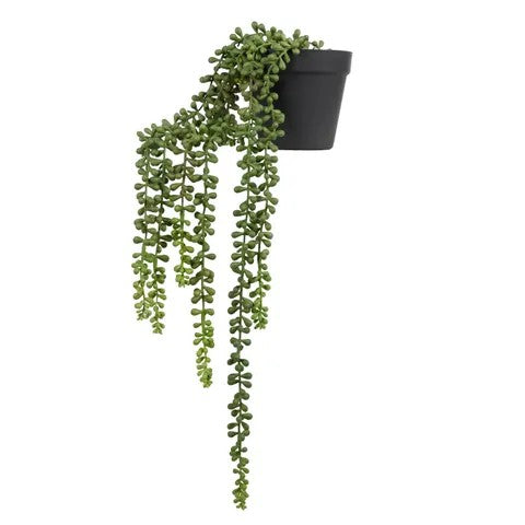 String Of Pearl - Artificial Plant 55cm with Pot