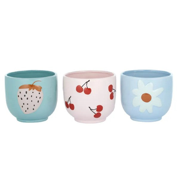 Picnic Ceramic Plant Pot