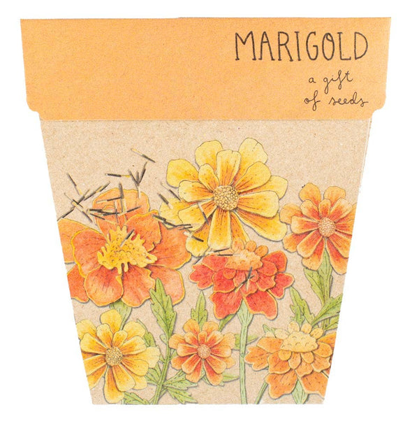 Marigolds Gift of Seeds (Australia Only)