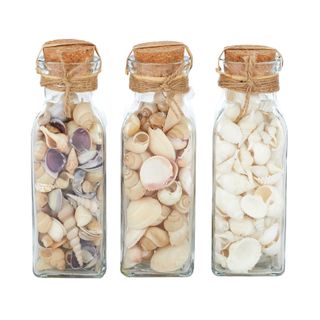 Seashells (Gift pack in glass jar)